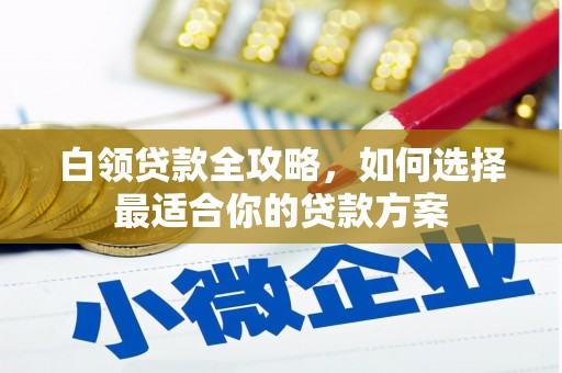 大树白领贷款全攻略，如何选择最适合你的贷款方案